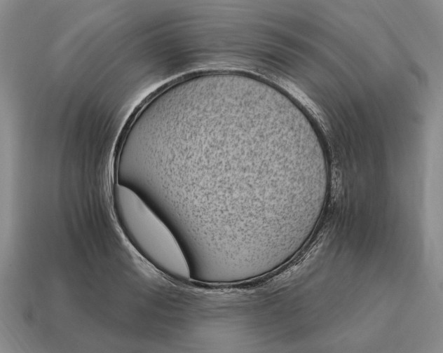 X0000115080988200911101459