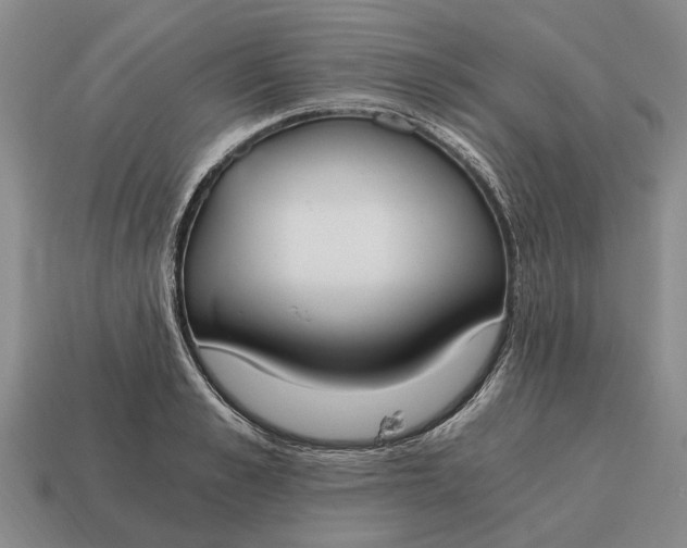 X0000115080989200911101459