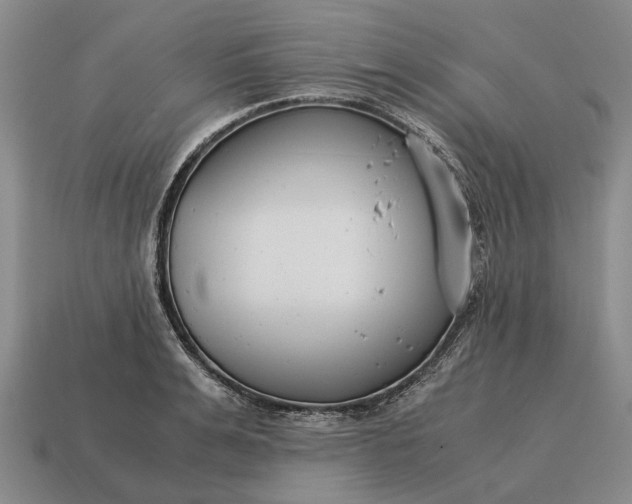 X0000115080991200911101459
