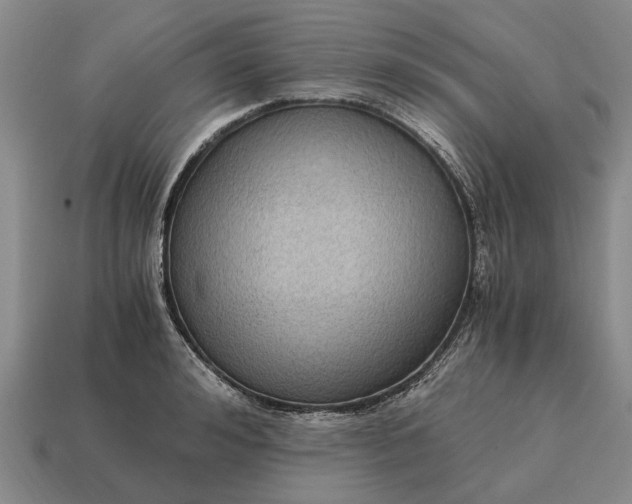 X0000115080992200911101459