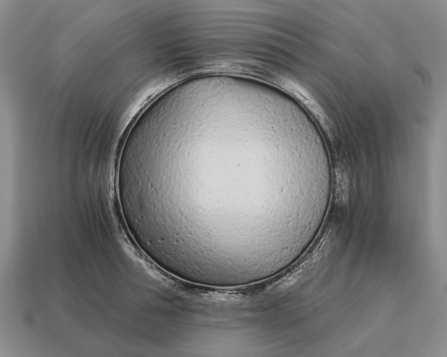 X0000115080994200911101459