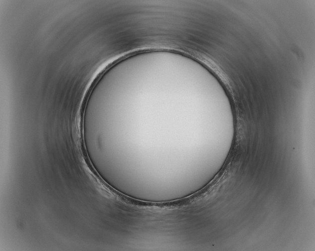 X0000115080996200911101459
