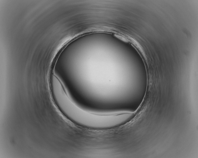 X0000115080997200911101459