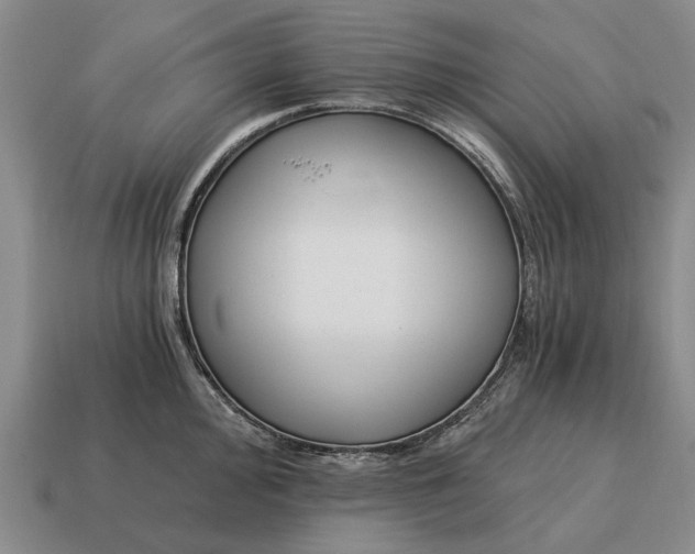 X0000115081000200911101459