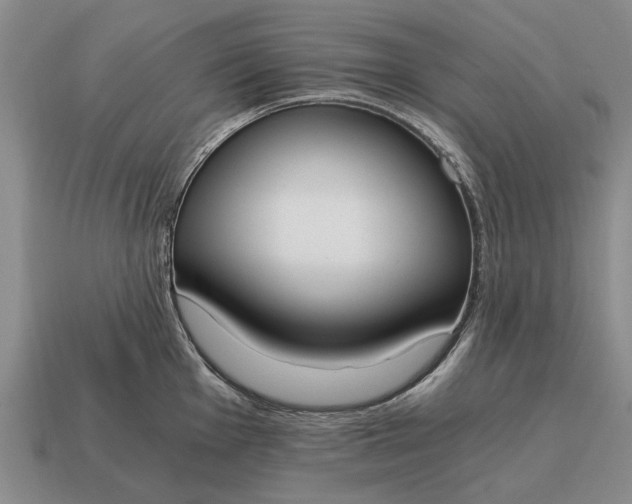 X0000115081001200911101459