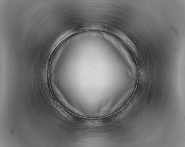 X0000115081002200911101459
