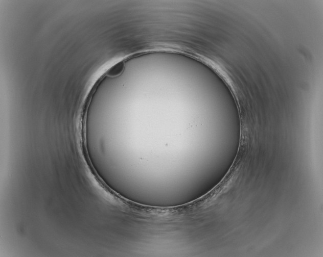 X0000115081003200911101459