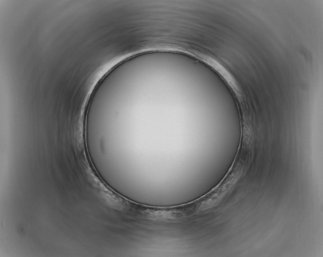 X0000115081004200911101459