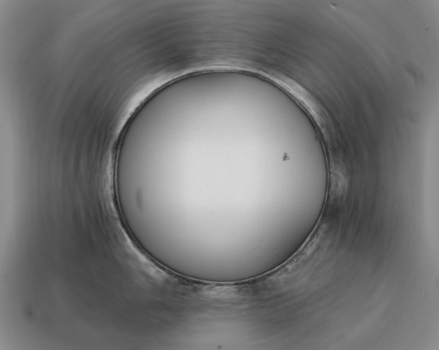 X0000115081006200911101459