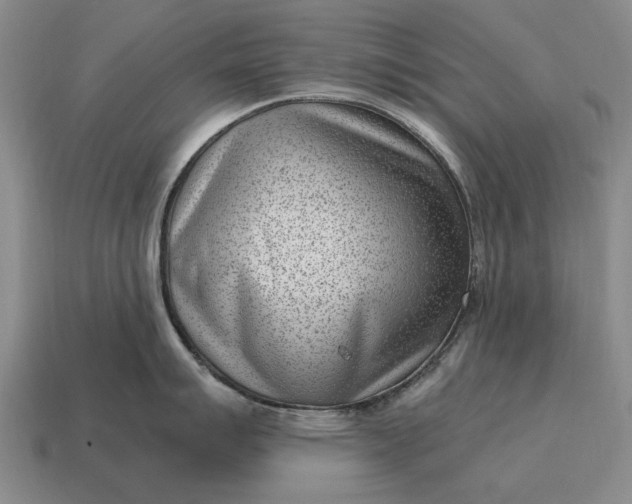 X0000115081007200911101459