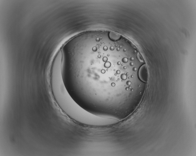 X0000115081008200911101459