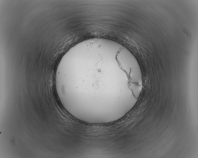 X0000115081012200911101458