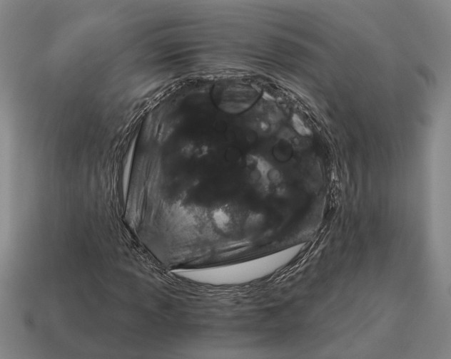 X0000115081013200911101458