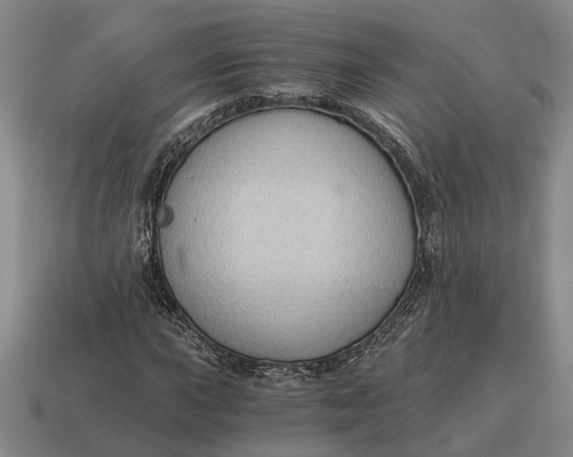 X0000115081015200911101458