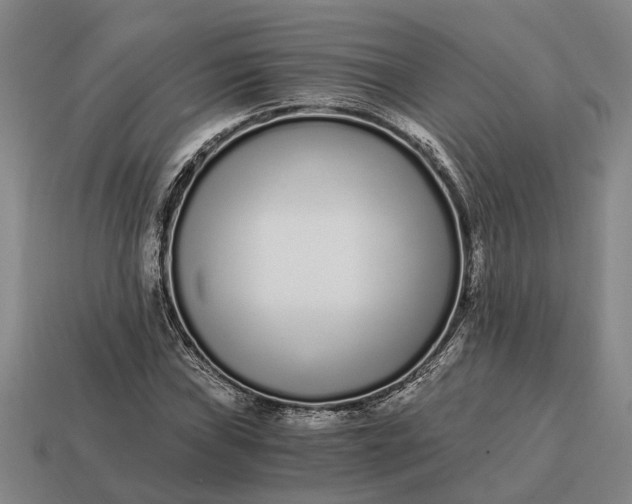 X0000115081019200911101458