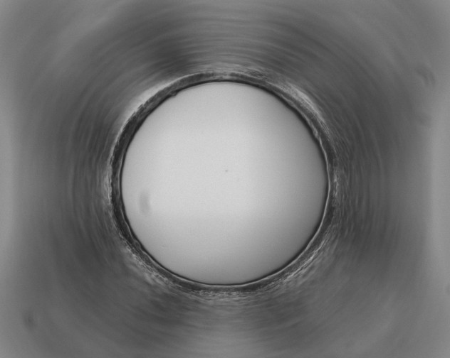 X0000115081020200911101458