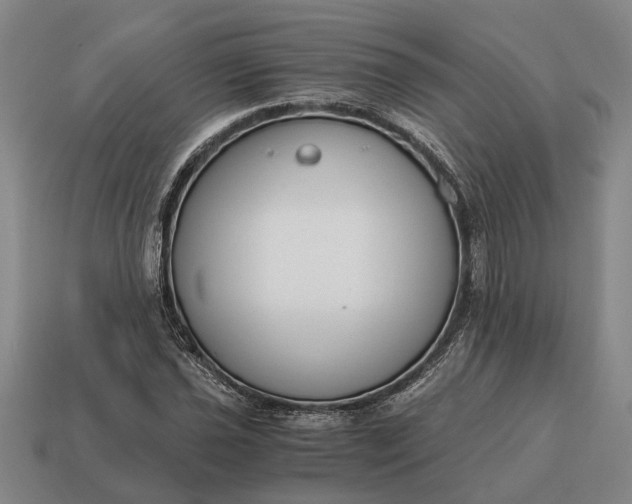 X0000115081021200911101458
