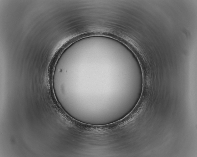 X0000115081022200911101458