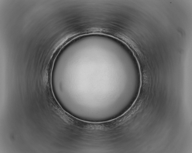 X0000115081023200911101458