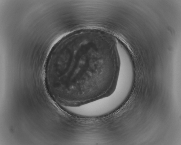 X0000115081024200911101458