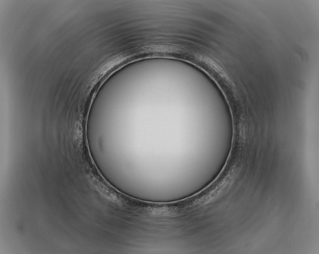 X0000115081025200911101458