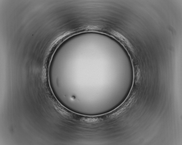 X0000115081027200911101459