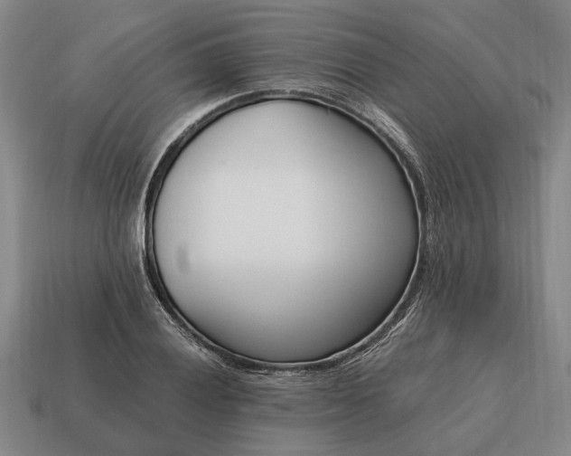 X0000115081028200911101459