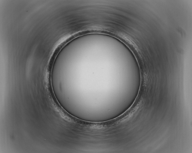 X0000115081029200911101459