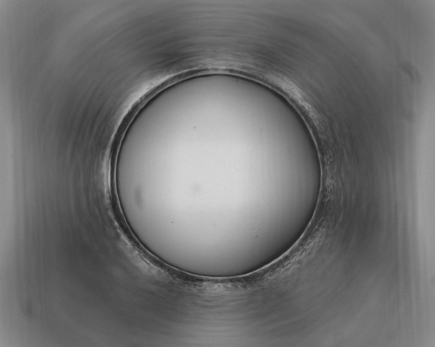 X0000115081032200911101459