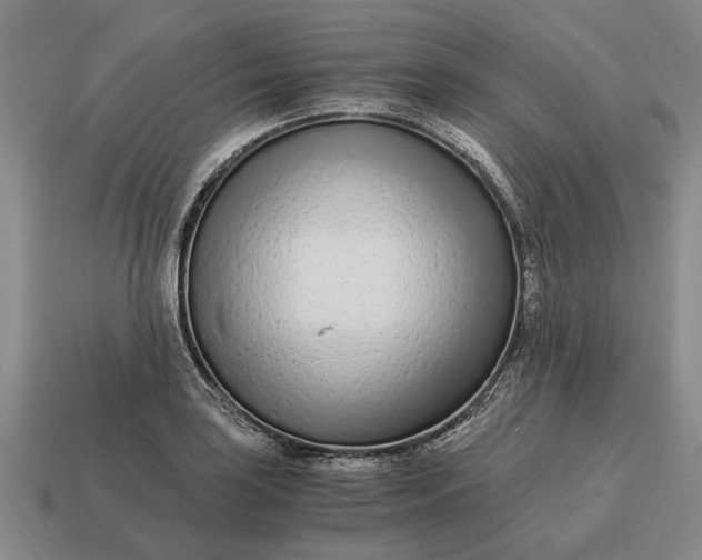X0000115081035200911101459