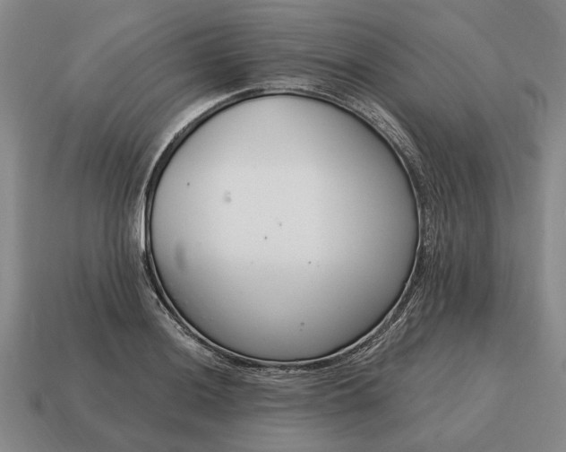 X0000115081036200911101459