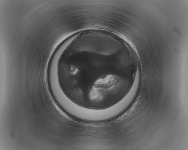 X0000115081037200911101459