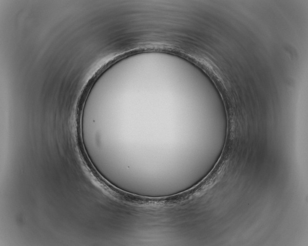 X0000115081038200911101459