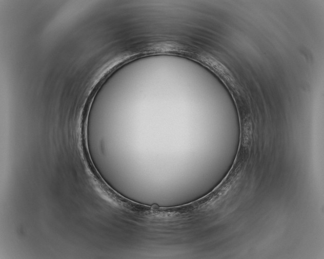 X0000115081039200911101459