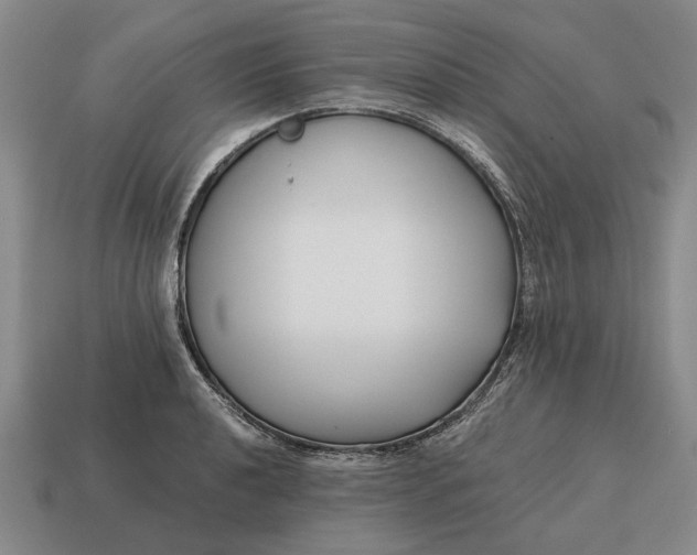 X0000115081040200911101459