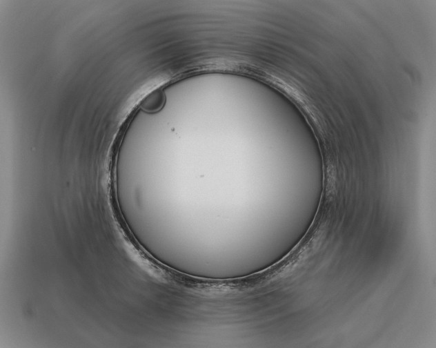 X0000115081042200911101459