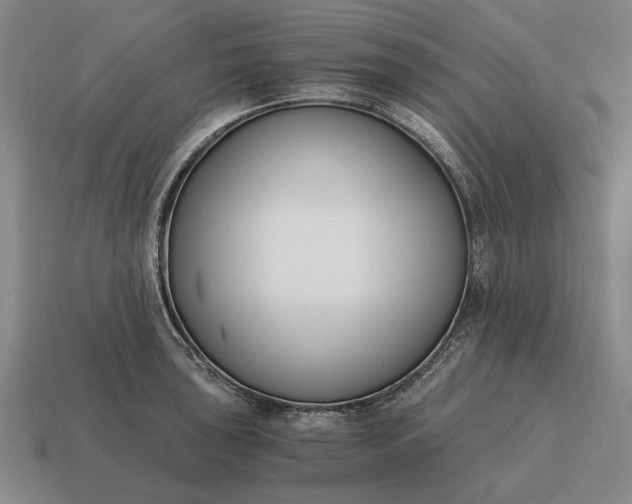 X0000115081043200911101459