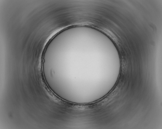 X0000115081044200911101459