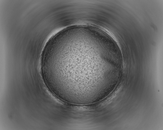 X0000115081045200911101459