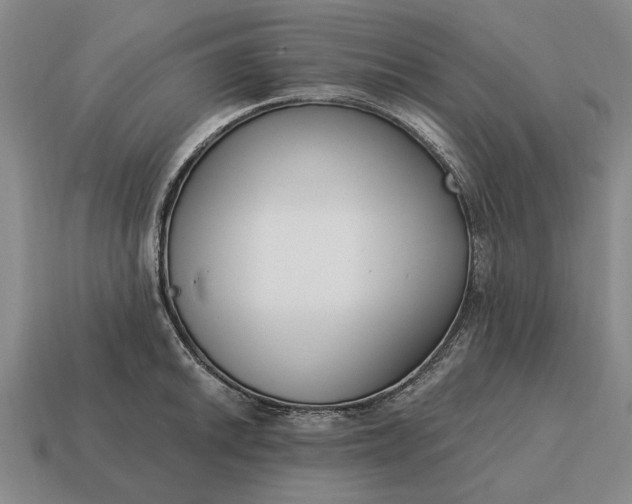 X0000115081046200911101459