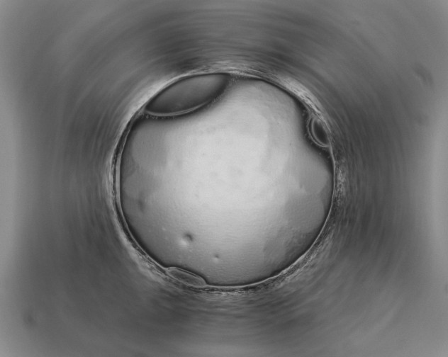 X0000115081047200911101459
