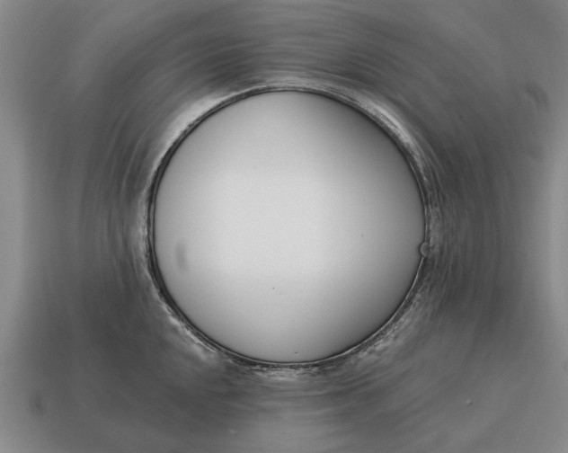 X0000115081048200911101459