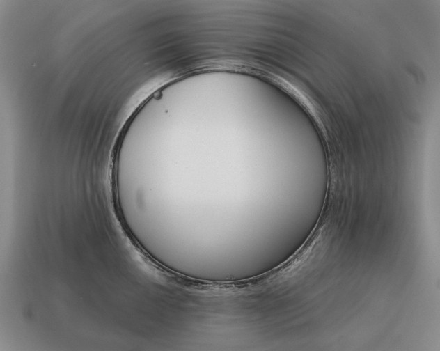 X0000115081050200911101459