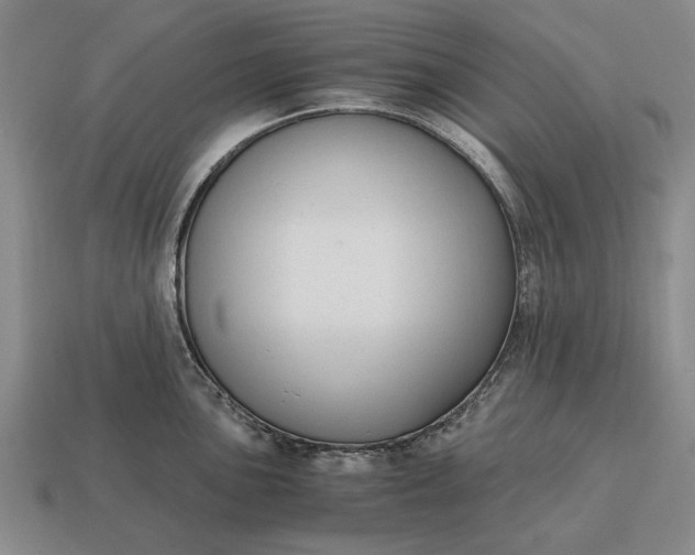 X0000115081051200911101459