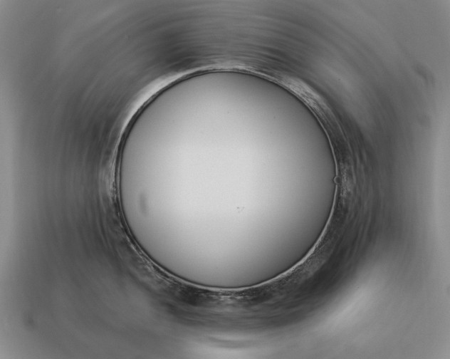 X0000115081052200911101459