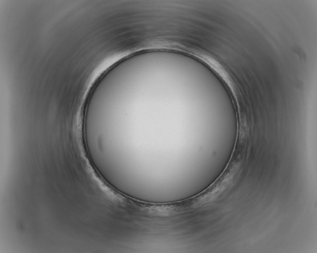 X0000115081053200911101459