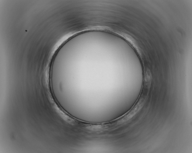 X0000115081054200911101459