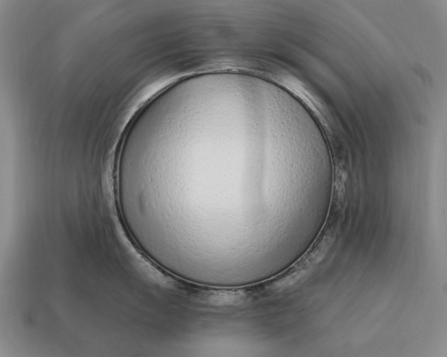 X0000115081055200911101459