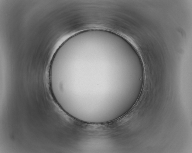X0000115081056200911101459