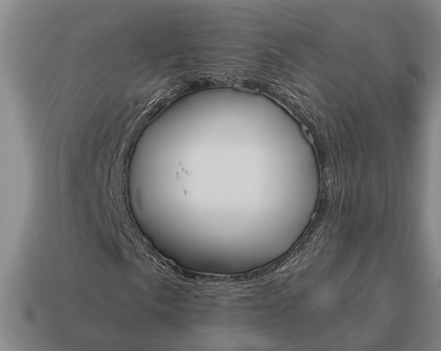 X0000115081057200911101458